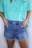 THE LUCY TUMMY CONTROL HIGH RISE SHORTS